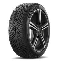 Michelin PILOT ALPIN 5 285/45 R21 113H