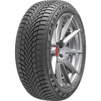 MAXXIS PREMITRA SNOW WP6 225/55 R16 99H