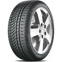 Falken EUROWINTER HS02 PRO 225/50 R19 96V