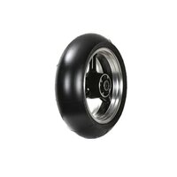 200 / 55 R17 dunlop   sportmax gp racer d211 slick