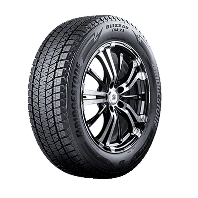 Bridgestone Blizzak DM-V3 275/40 R22 107T