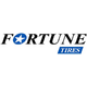 FORTUNE