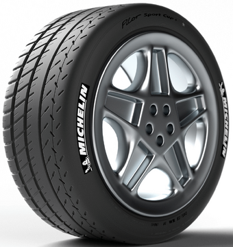 Michelin PILOT SPORT CUP+ 265/35 R19 98Y