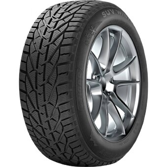 SEBRING SNOW 185/55 R15 82T